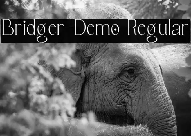 Bridger-Demo Regular Font examples