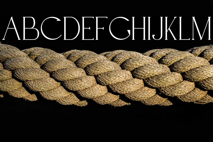 BridgerDemo-Regular Example 1