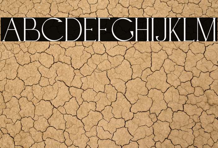 BridgerDemo-Regular Example 2