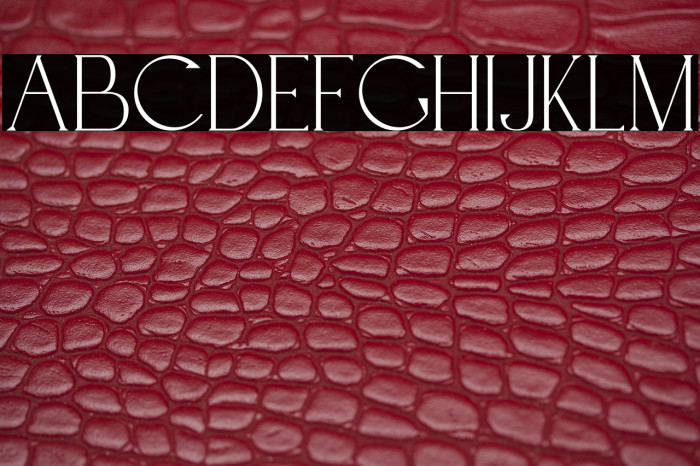 BridgerDemo-Regular Example 3