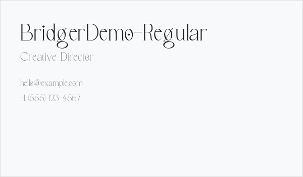 BridgerDemo-Regular Business Card