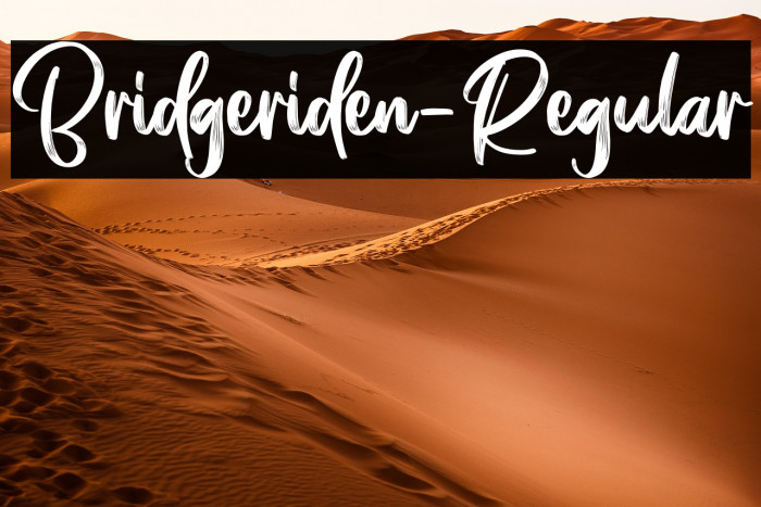 Bridgeriden-Regular Example 1