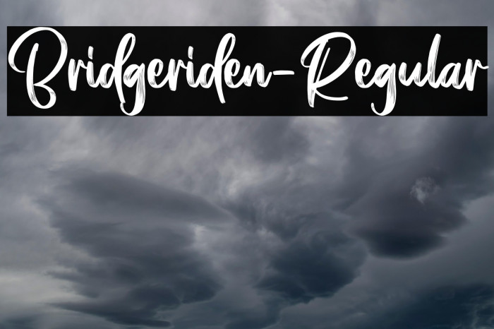 Bridgeriden-Regular Example 2