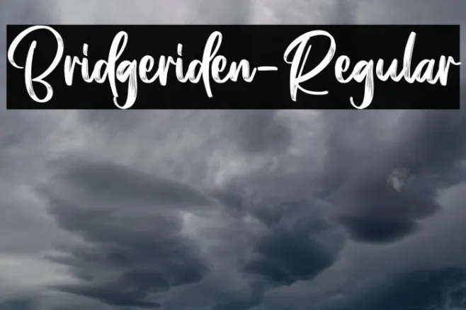 Bridgeriden-Regular Example 2