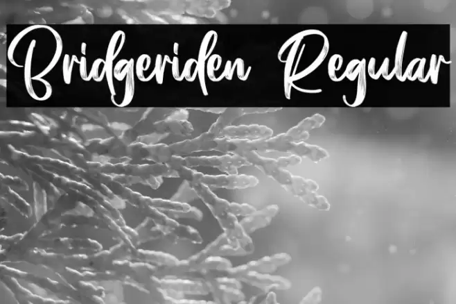 Bridgeriden Regular Font examples