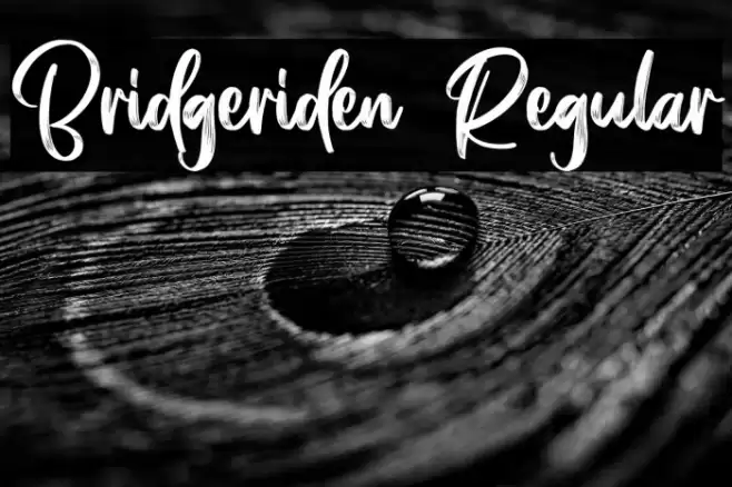 Bridgeriden Regular Font examples