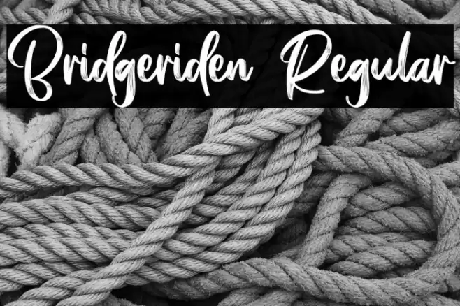 Bridgeriden Regular Font examples