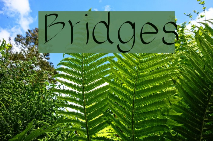 Bridges Font examples