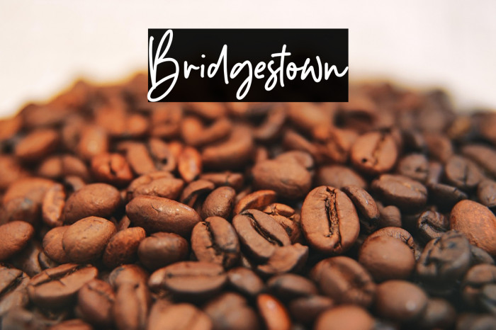 Bridgestown Example 1