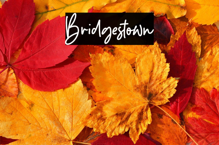 Bridgestown Example 2