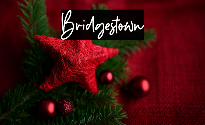 Bridgestown Example 3