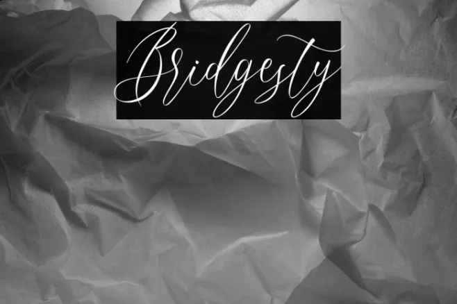 Bridgesty Example 1