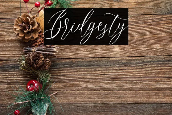 Bridgesty Example 2