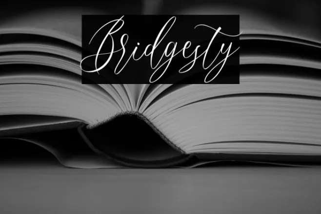 Bridgesty Example 3