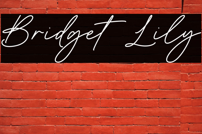 Bridget Lily Example 1