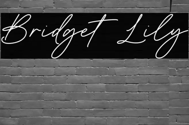 Bridget Lily Polices examples