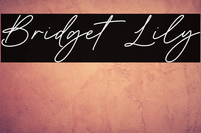 Bridget Lily Example 2