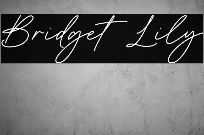 Bridget Lily Polices examples