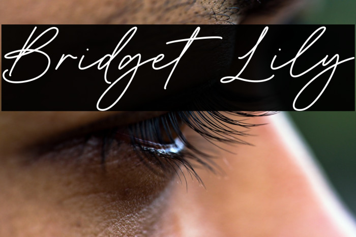 Bridget Lily Example 3