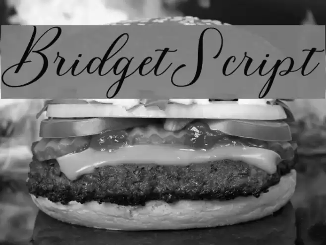 BridgetScript Font examples