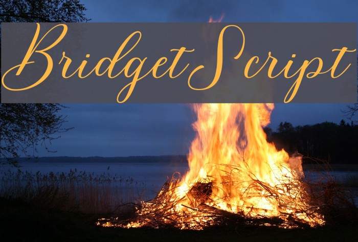BridgetScript Font examples