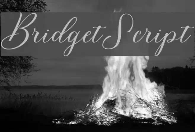 BridgetScript Font examples