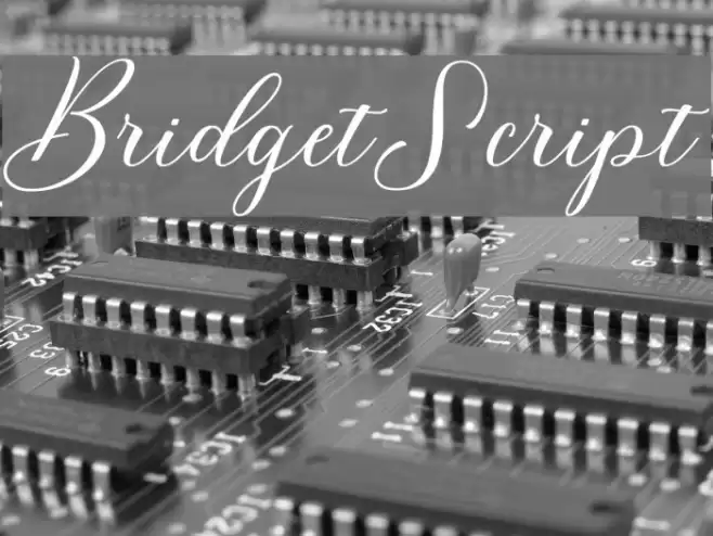 BridgetScript Font examples