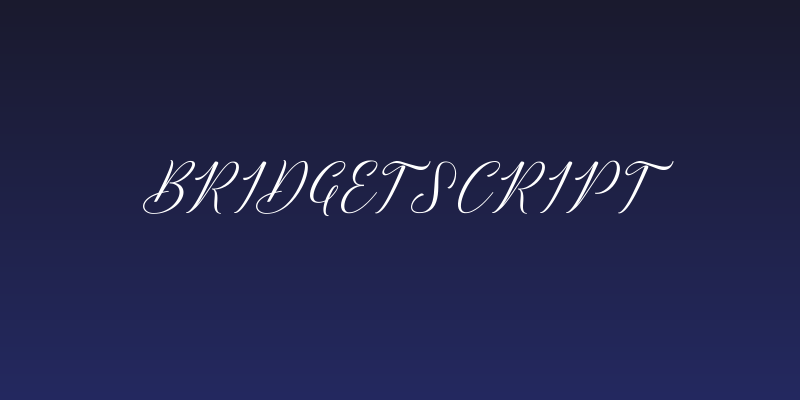 BridgetScript Social Header