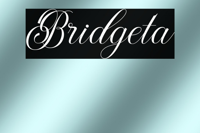 Bridgeta Example 2