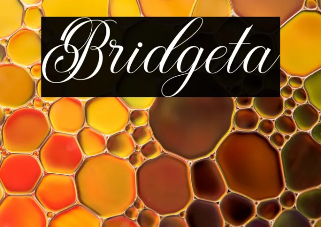 Bridgeta Example 3