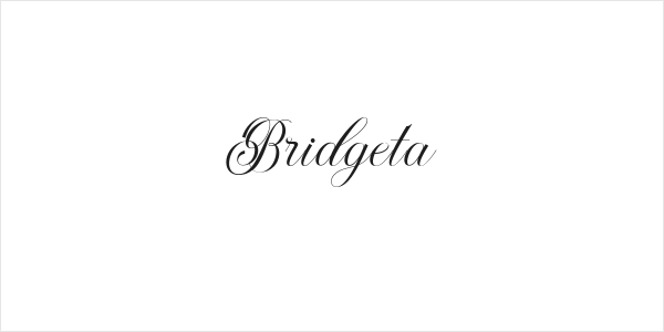Bridgeta Logo
