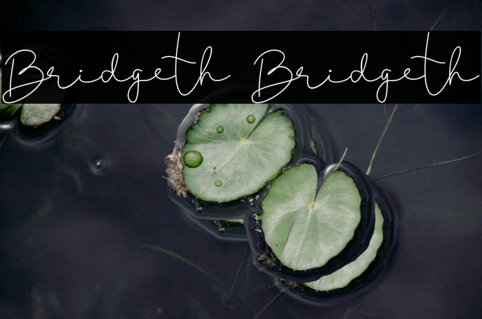 Bridgeth Bridgeth Example 3