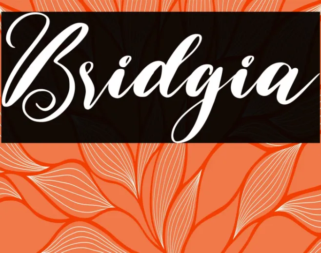 Bridgia Example 1