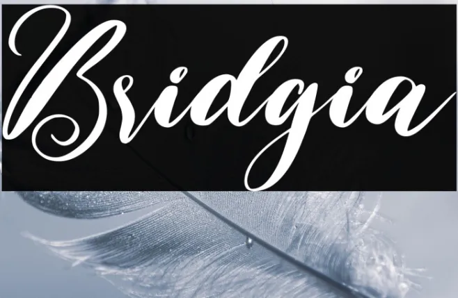 Bridgia Example 2