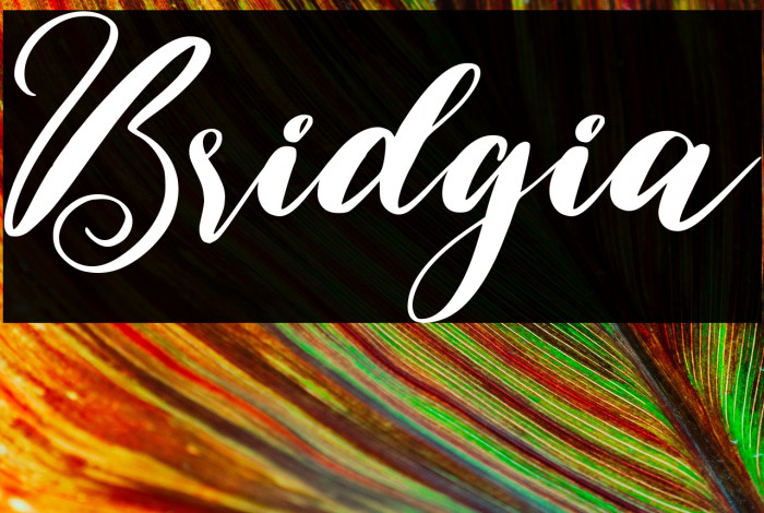 Bridgia Example 3