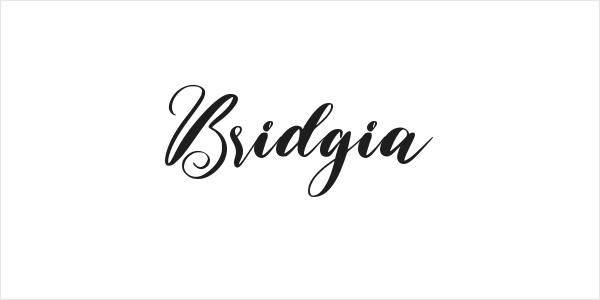 Bridgia Logo