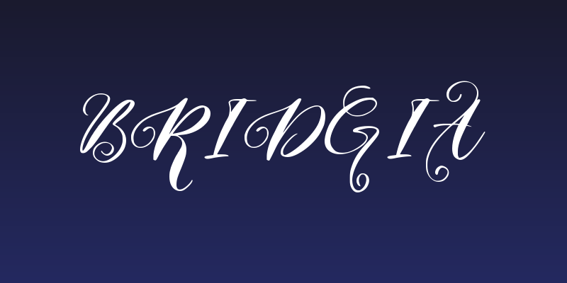 Bridgia Social Header