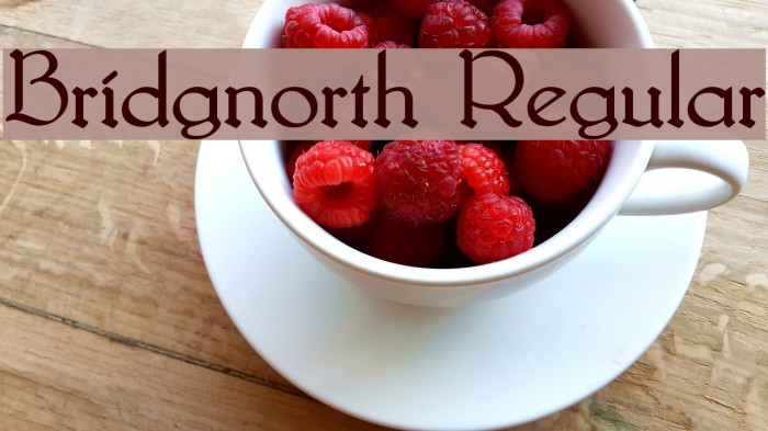 Bridgnorth Regular Font examples