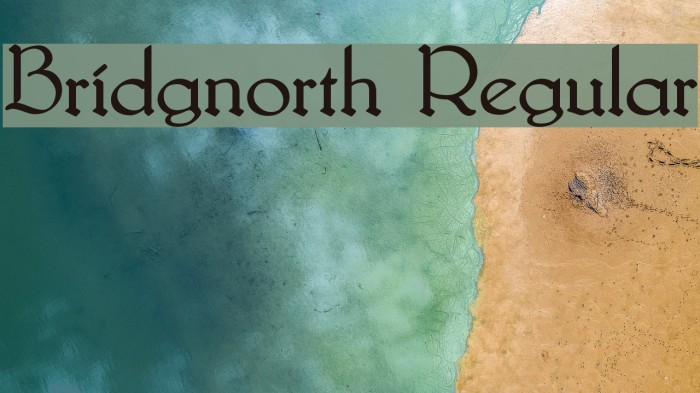 Bridgnorth Regular Font examples