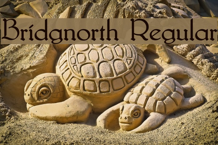 Bridgnorth Regular Font examples