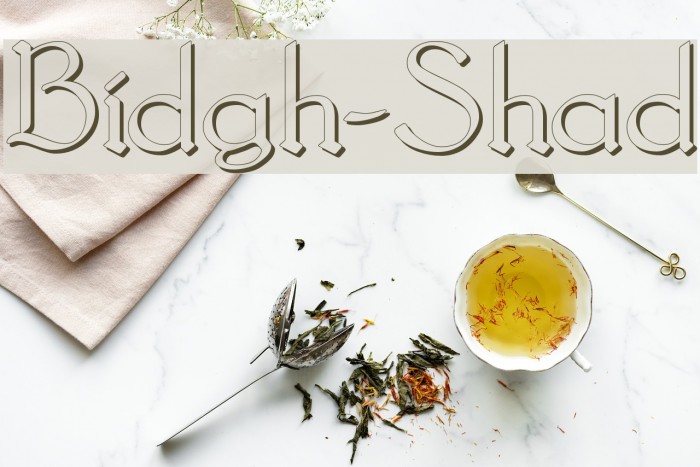 Bridgnorth-Shadow Font examples