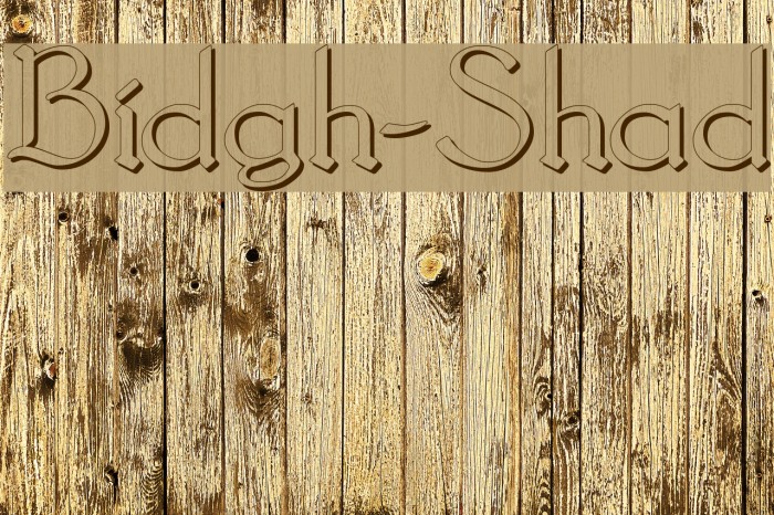 Bridgnorth-Shadow Font examples