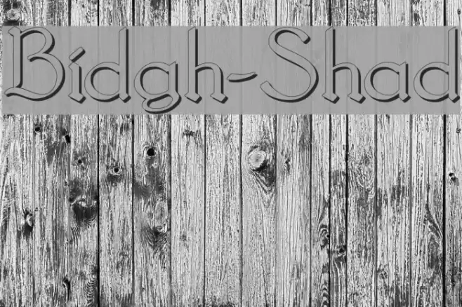 Bridgnorth-Shadow Polices examples