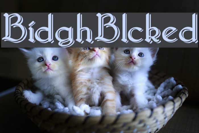 Bridgnorth_Blocked Font examples