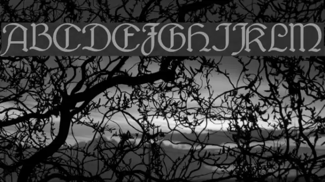 Bridgnorth Font examples