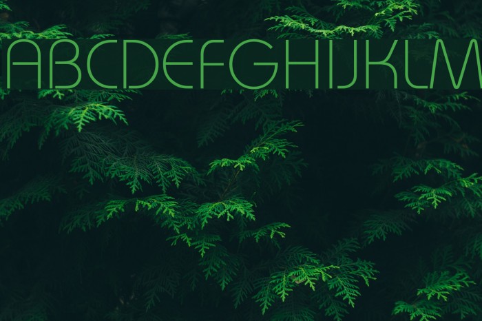 Brie Light Font examples