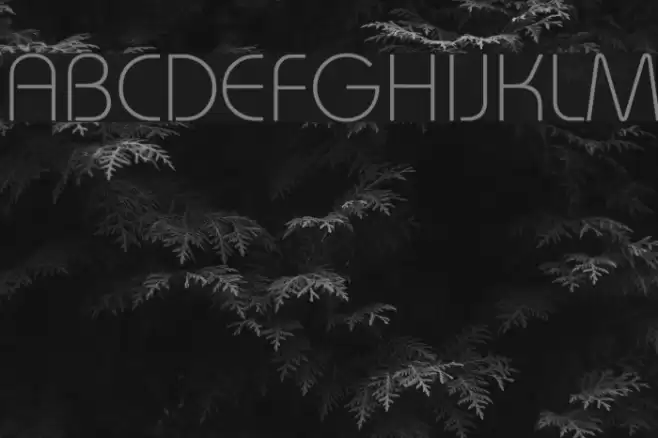 Brie Light Font examples