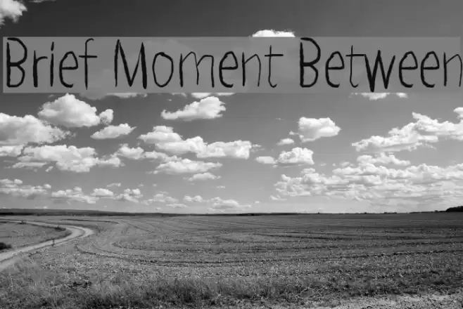 Brief Moment Between Font examples