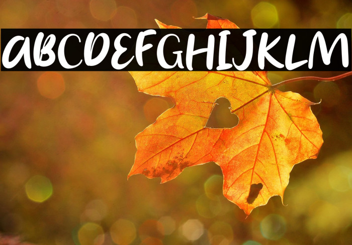 Briella Rin Example 3