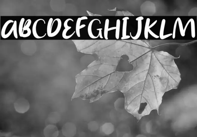 Briella Rin Font examples